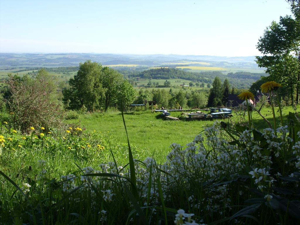 Вілла Dom Panorama Pod Gwiazdami Kopaniec Номер фото