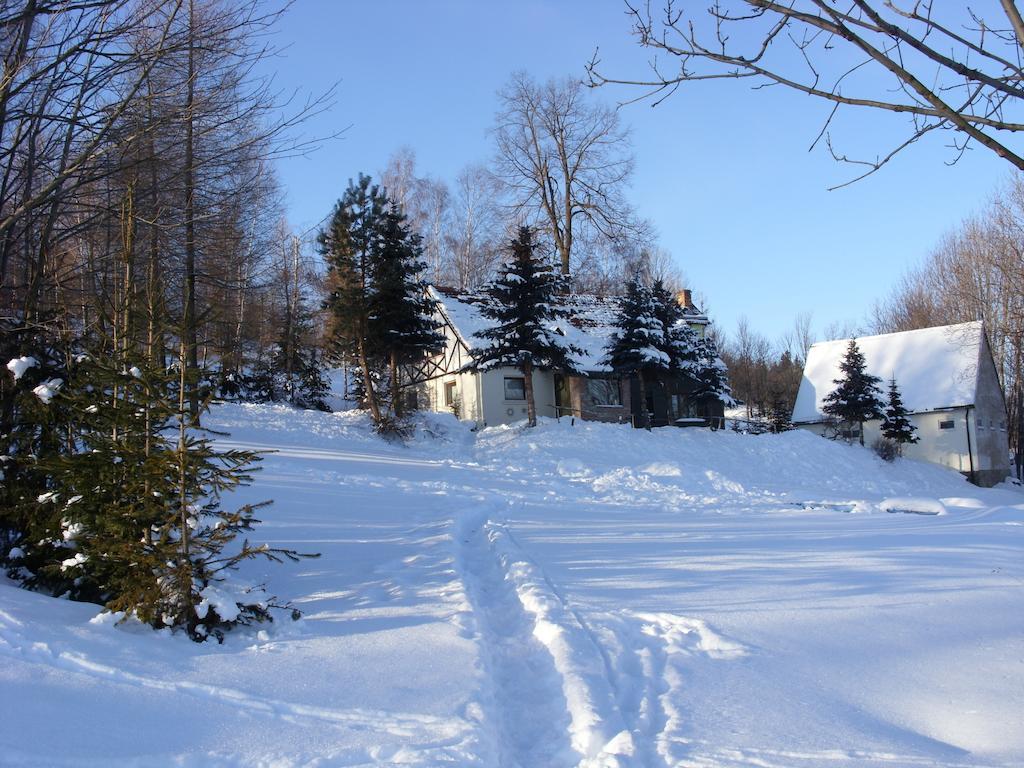 Вілла Dom Panorama Pod Gwiazdami Kopaniec Номер фото